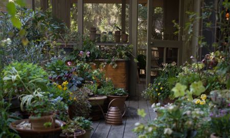 Lucy Hunter's Charleston garden