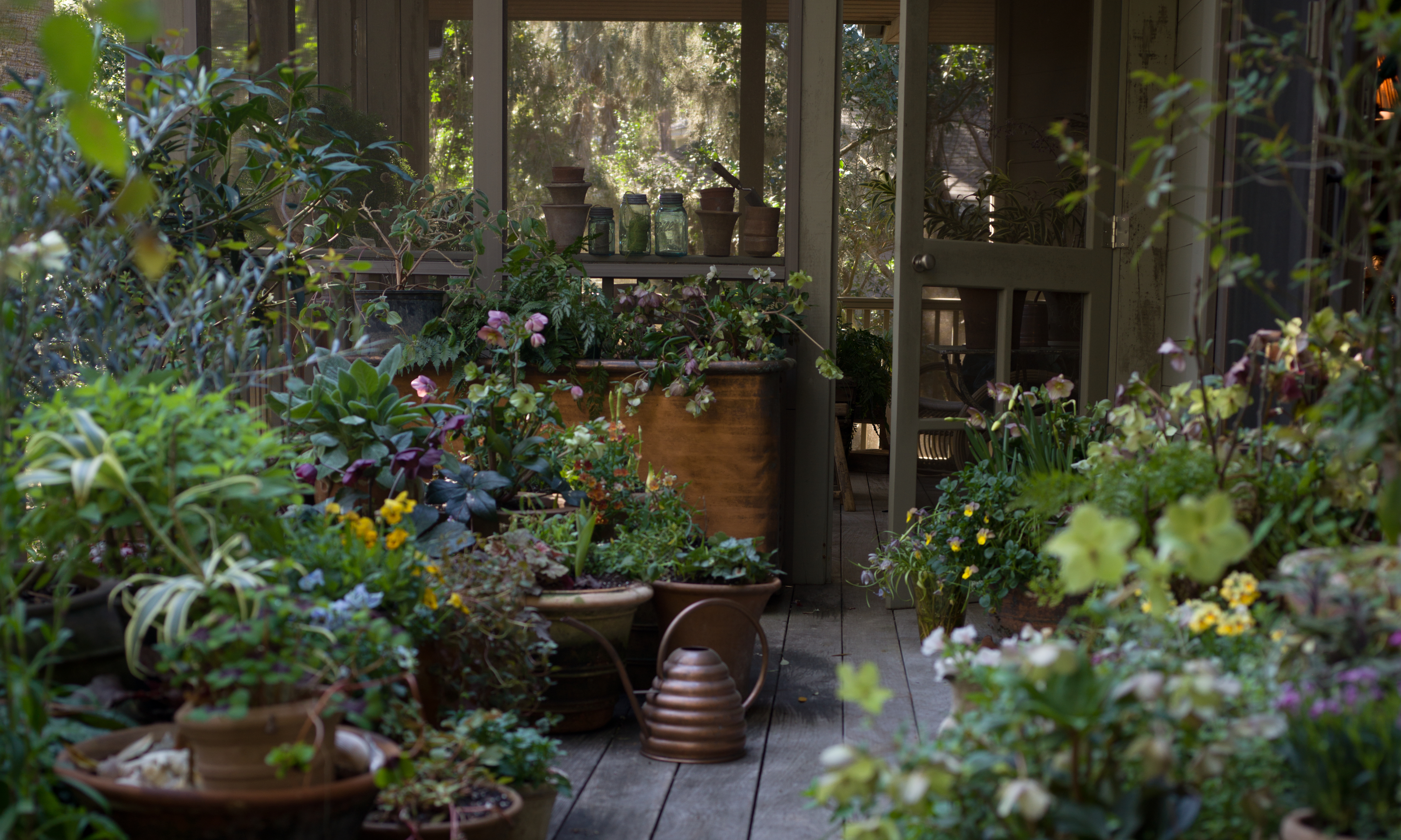 Lucy Hunter's Charleston garden