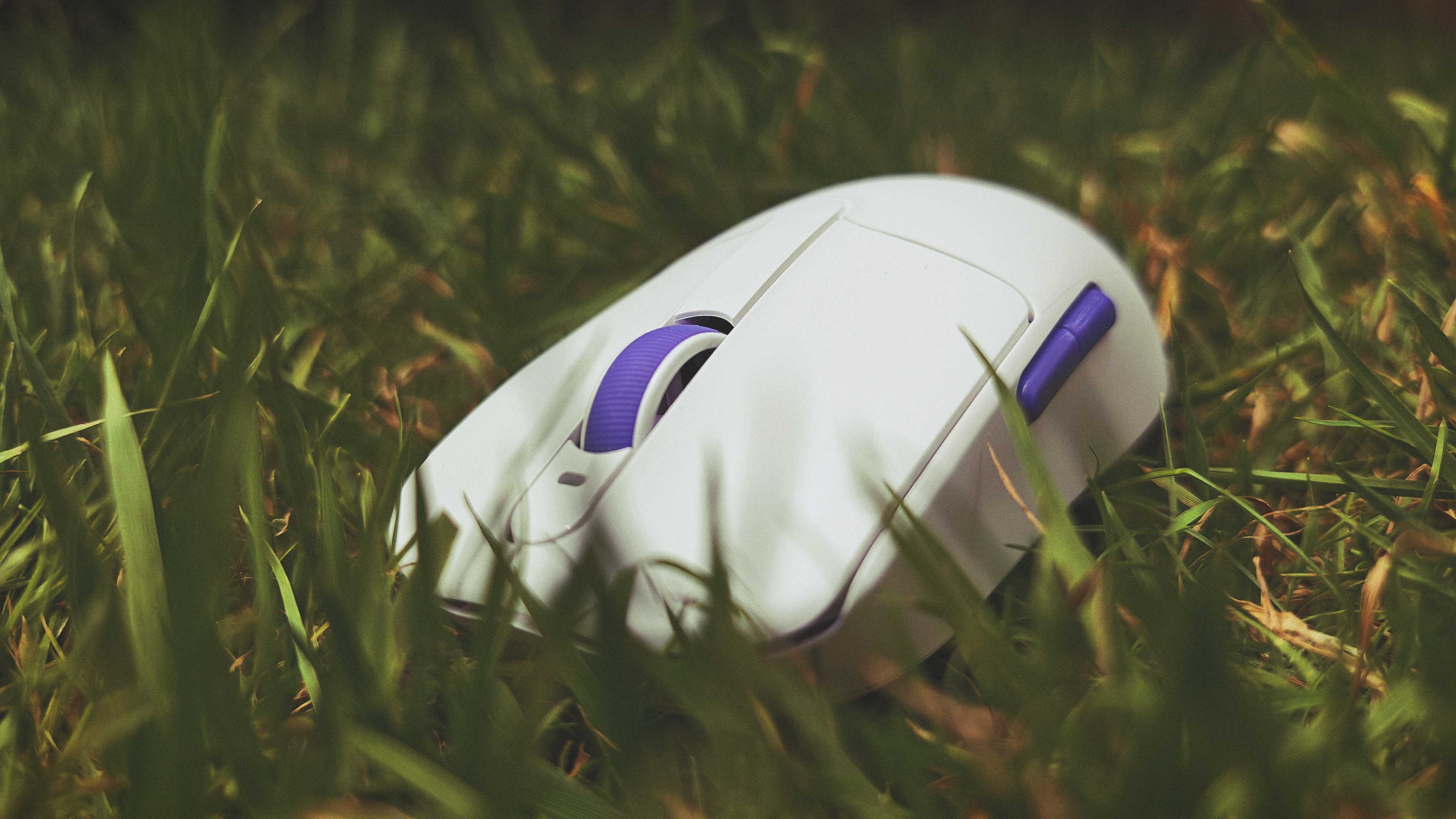 A white and purple Akko Dash Ultra gaming mouse sitting in tall grass in a garden