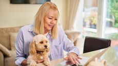 A mature woman and her dog browse the internet on her laptop.