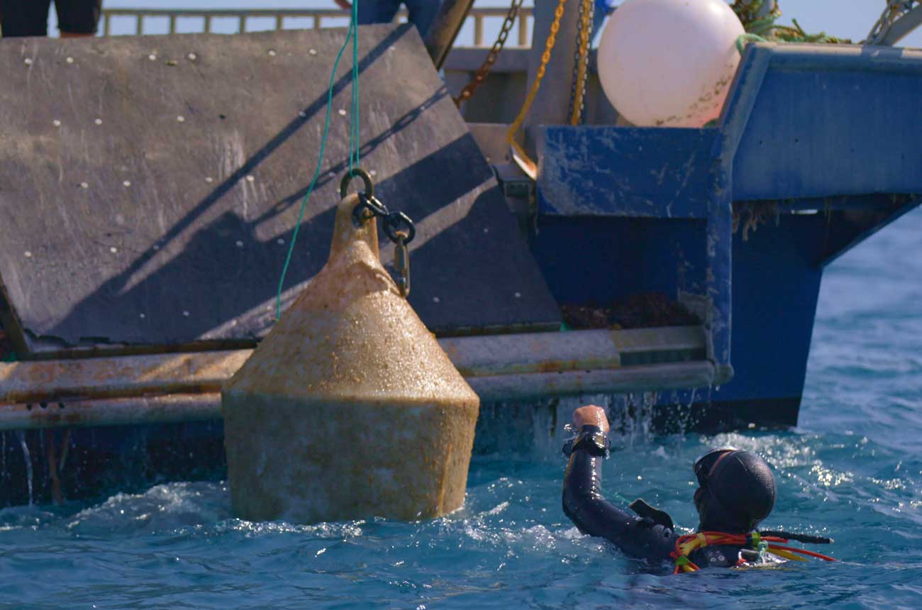 Subsea Estate wines being brought to the surface