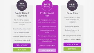 The Professional plan comes with 20 free pages, lifetime storage, and a Company Manager tool. 