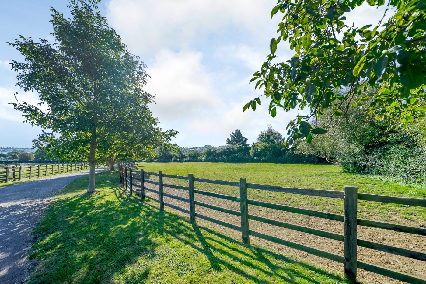 Peasebrook-Farm-PADDOCKS-scaled-e1580811912920.jpg