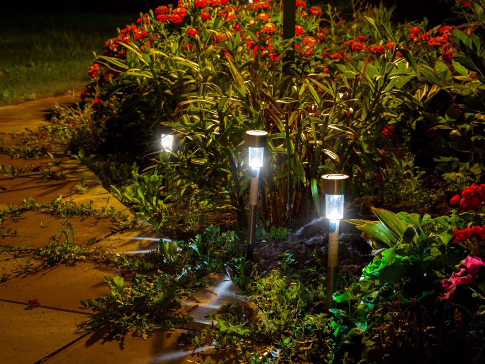 Installing Solar Garden Lights – Learn About Solar Powered Garden Lights |  Gardening Know How, image size:1600x1200