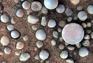 Millions of "blueberries" like these dot the surface of Mars. They could hold an important trace of ancient water, a new study suggests.