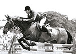 07579FA9-D458-4933-9737-45DB48BF59AB.jpg
