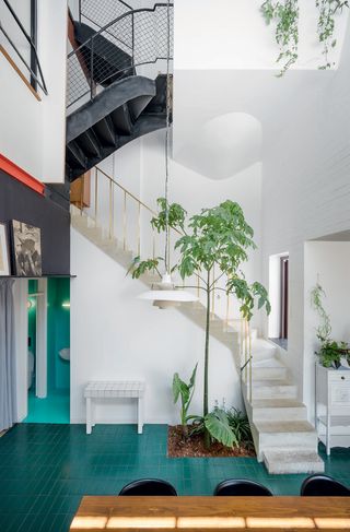 Petralona House - A Brachychiton tree in the living area and the steel staircase made by Rentzou’s father