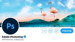 Photoshop Twitter profile