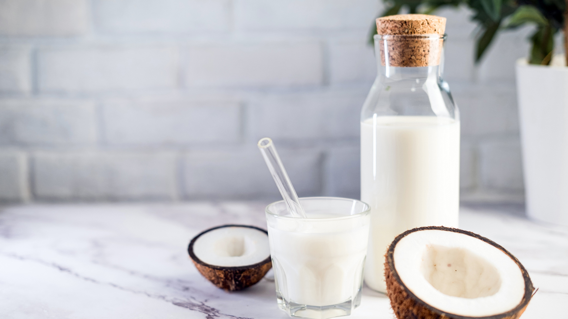 Coconut milk: vitamin info and well being advantages
