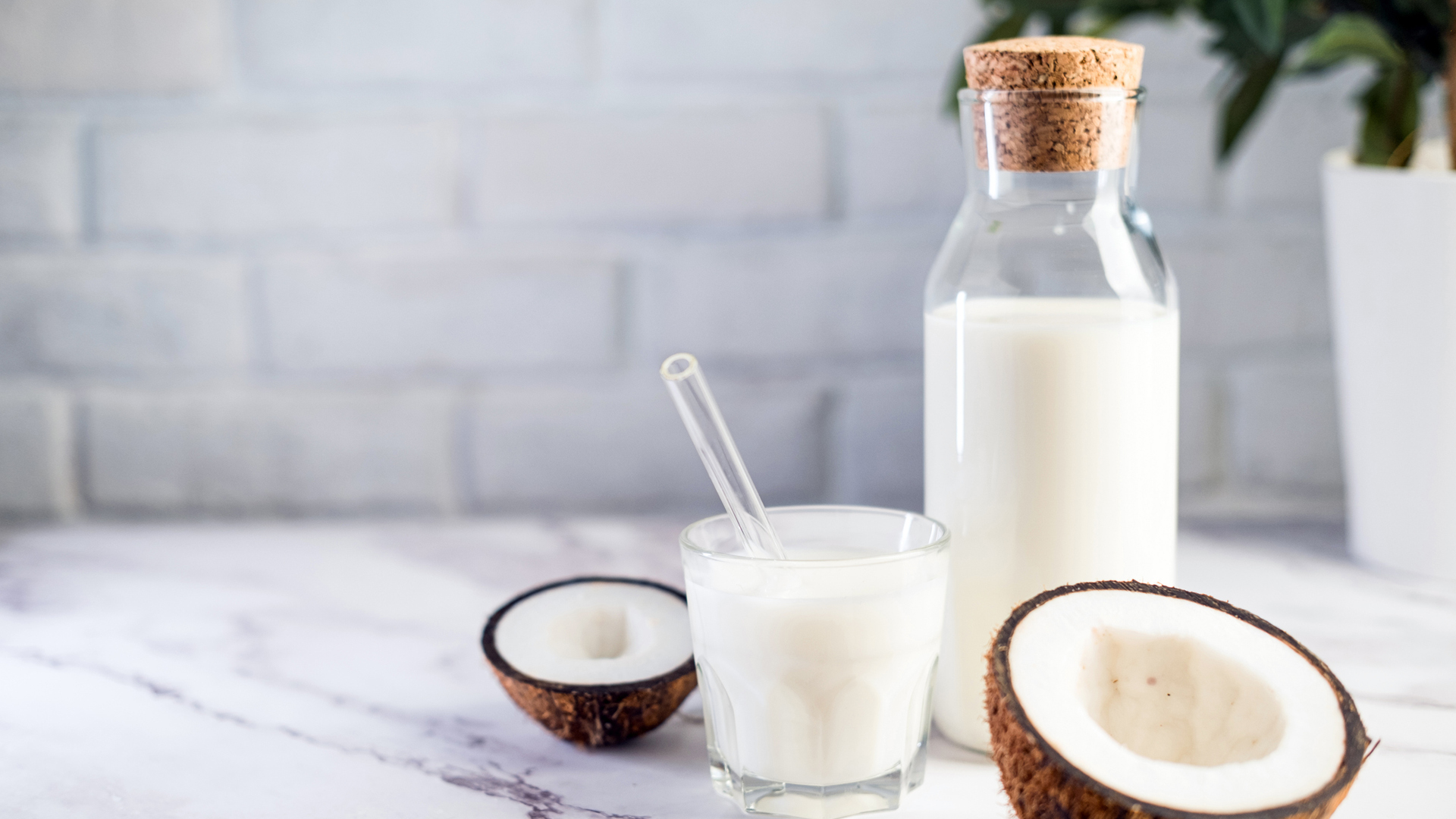 Coconut milk: nutrition facts and health benefits