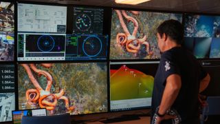 A researchers stands by screen with pictures of marine life