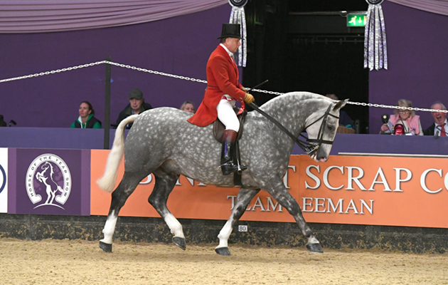 HOYS 06 10 2018