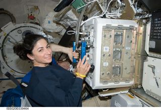 NASA astronaut Nicole Stott and European Space Agency astronaut Frank De Winne (mostly obscured), service the Mice Drawer System (MDS) in the Kibo laboratory of the International Space Station during Expedition 20.