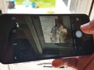 Brighten Up Dark Photos
