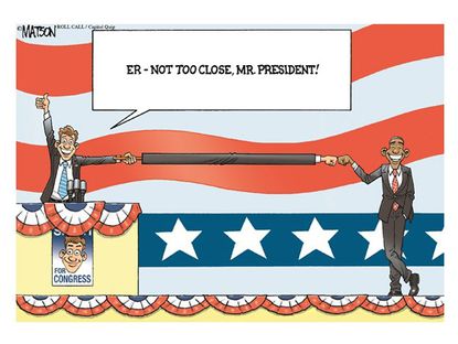 Obama cartoon midterm election Congress