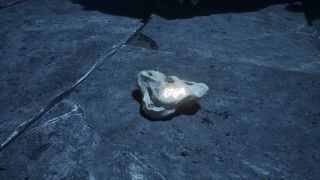 Expedition 33 diving - Rock