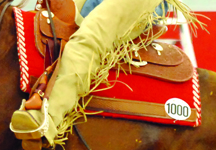 reining21.jpg