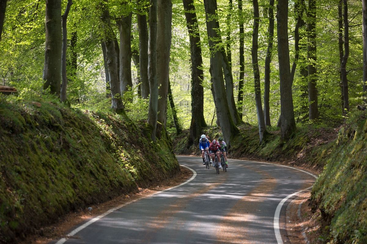 The early break reaches the forest first during of the second, 110.1km road race stage of Elsy Jacobs
