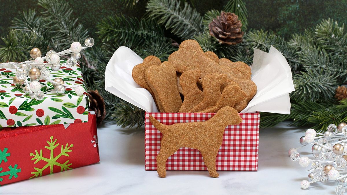 Christmas dog treats in a gift box with Christmas tree branches and pinecones in background