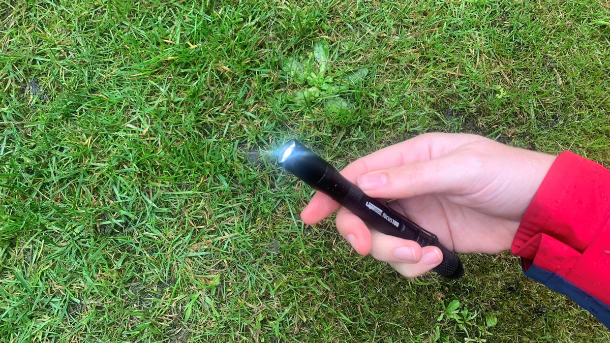 Lighthouse elite Focus100 LED Torch review I can see clearly now my