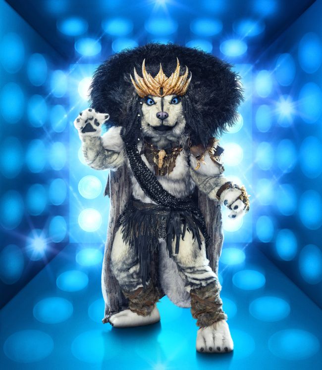 Who is Husky on The Masked Singer season 10? What to Watch