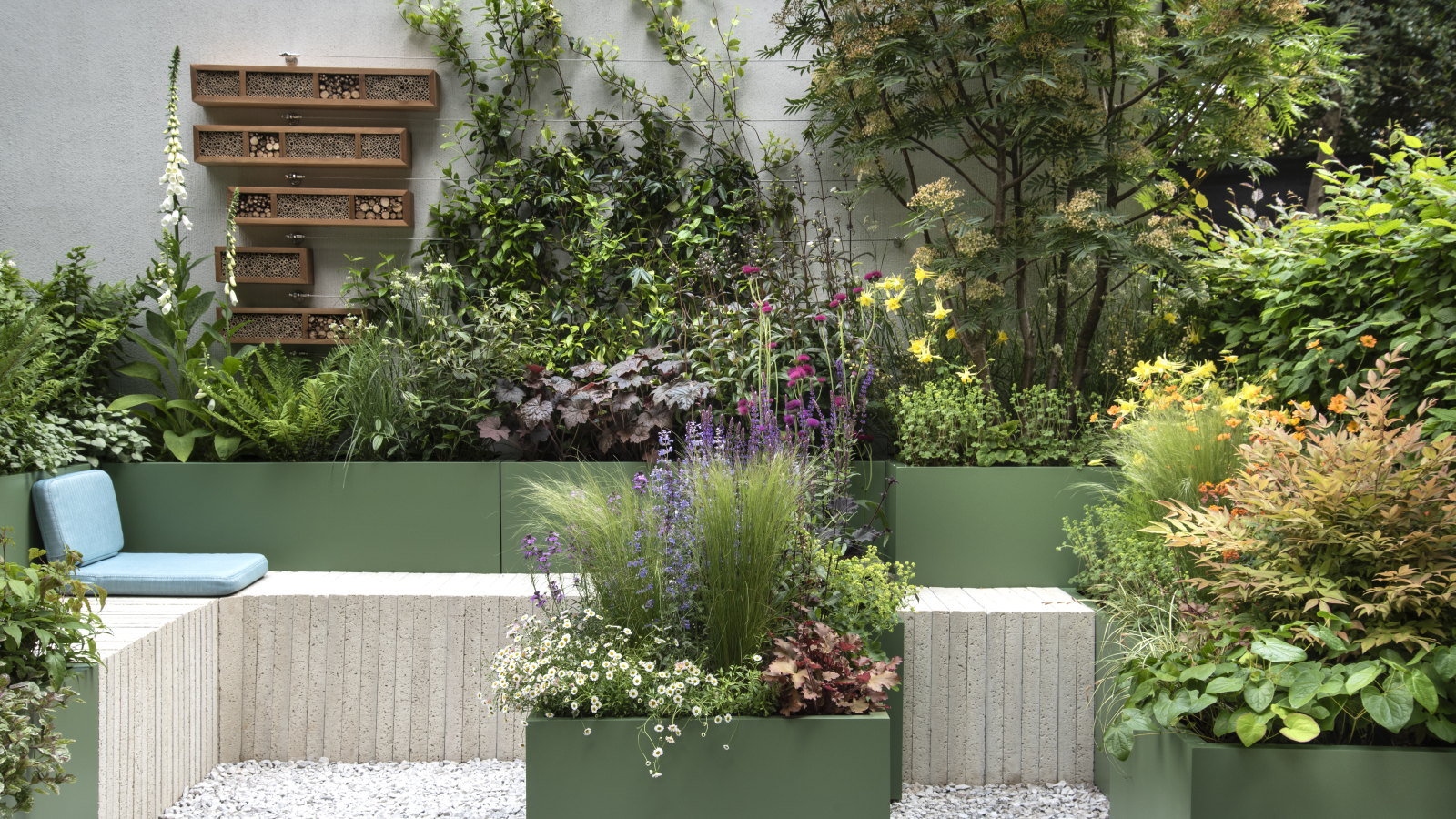 Shrubs, perennials, and grasses growing in raised beds at the Chelsea Flower Show 2025