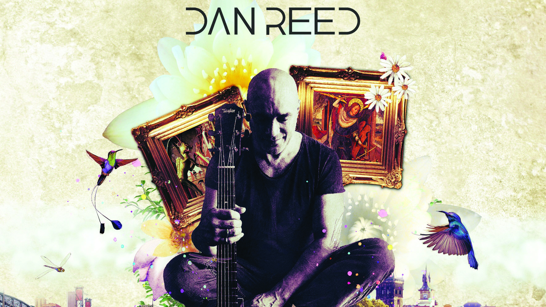 Cover art for Dan Reed - Confessions album