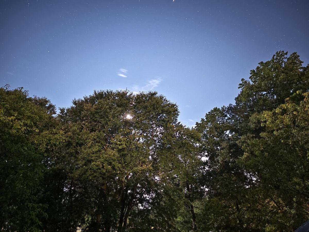 Vivo X Fold 2 camera samples