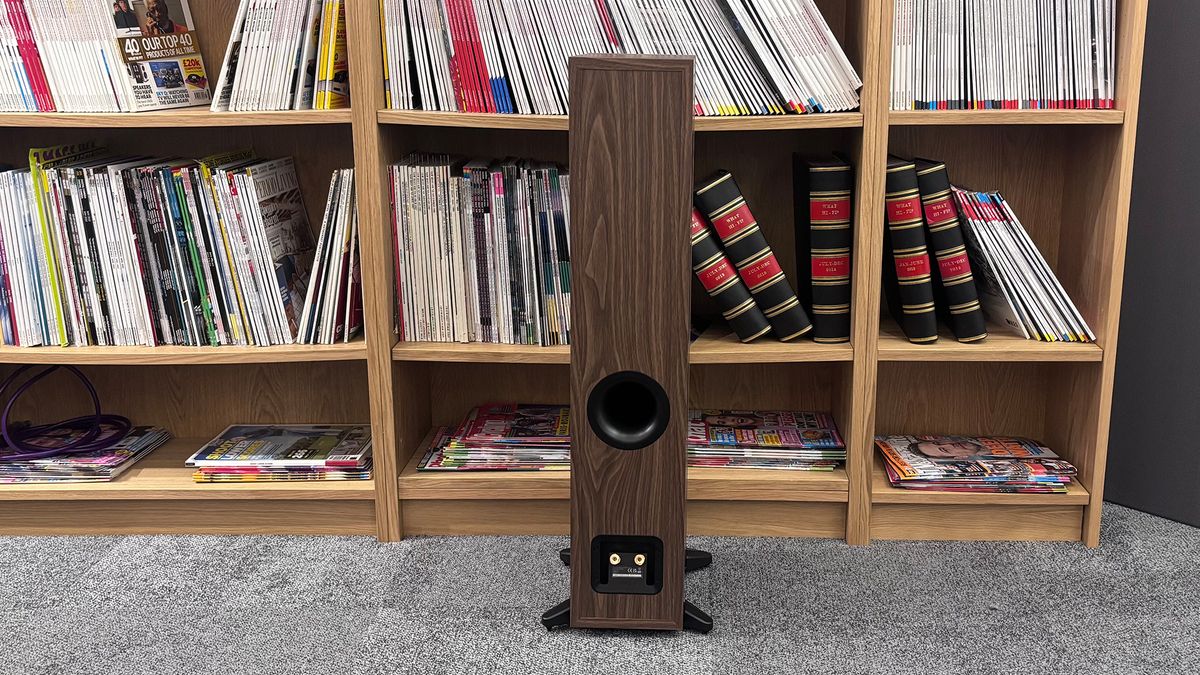 Dali Sonik 5 floorstanding speakers