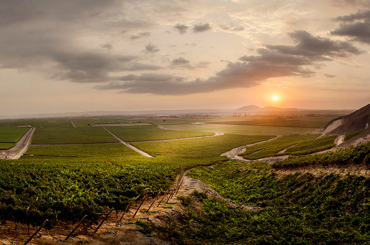 Sunrise over vineyards in Ica Valley Peru