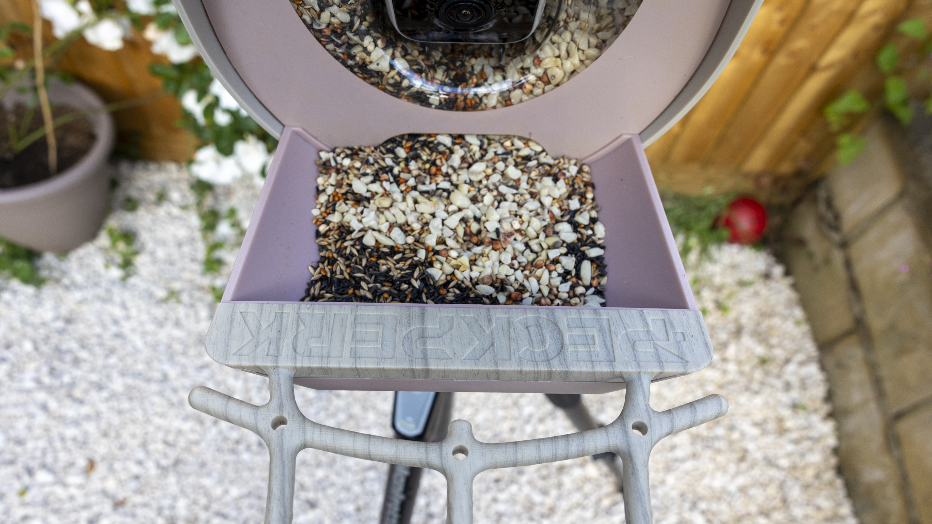 The PeckPerk bird feeder on a tripod in a small English garden
