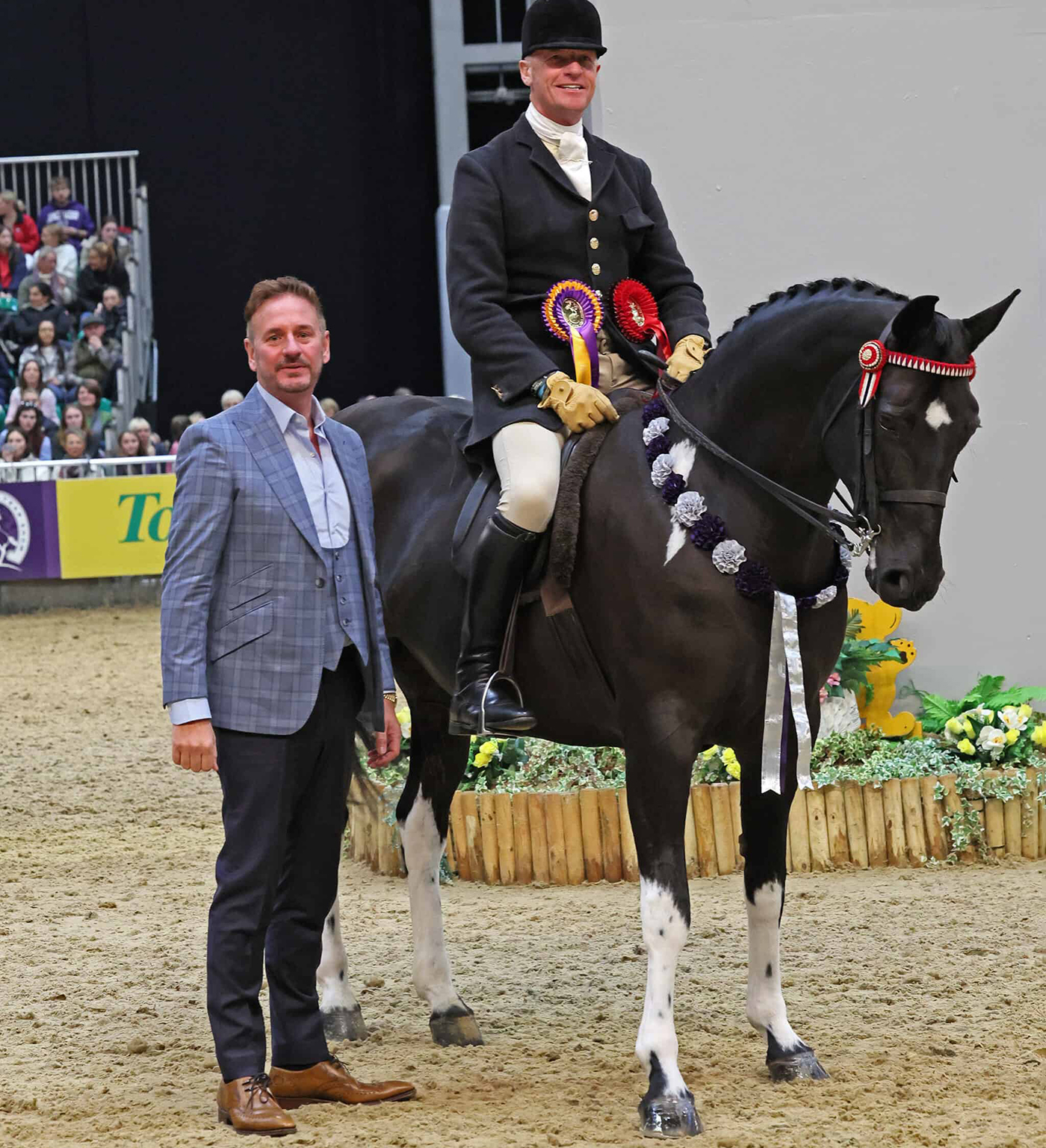 HOYS coloured ridden non-native pony