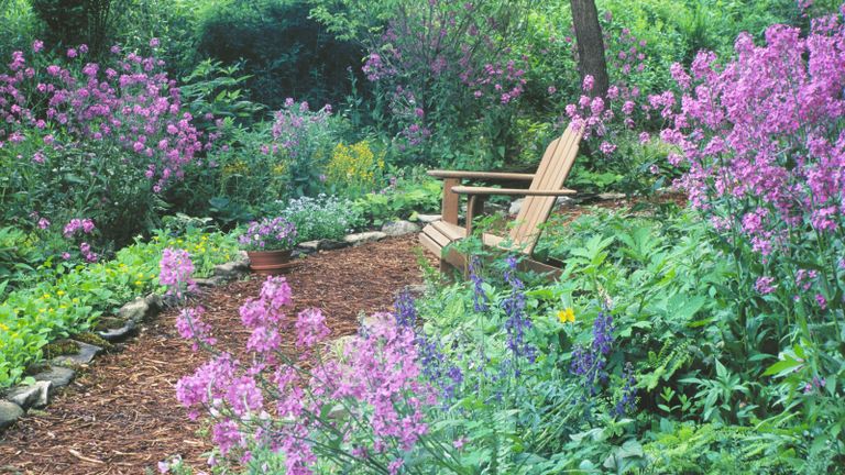 landscaping with wood chips to create a woodland style seating area