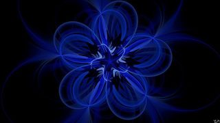 The Blue Flower