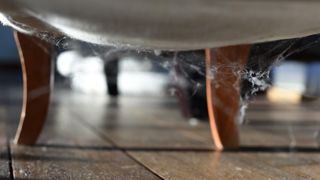 Cobweb underneath armchair on a wooden floor