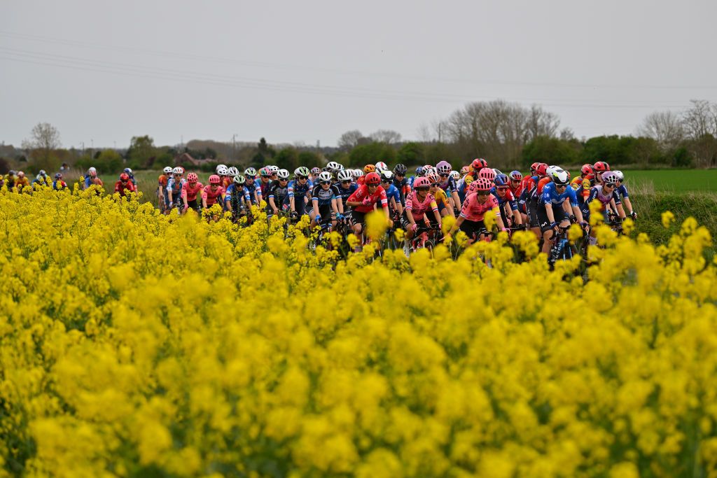 ROUBAIX FRANCE APRIL 06 A general view of Alison Jackson of Canada Coryn Labecki of Italy Lotta Henttala of Finland and Team EF EducationCannondale Gladys VerhulstWild of France and Team FDJSuez Sheyla Gutierrez of Spain and Movistar Team and the peloton passing through flowery landscapeduring the 4th ParisRoubaix Femmes 2024 a 1485km one day race from Denain to Roubaix on UCIWWT April 06 2024 in Roubaix France Photo by Luc ClaessenGetty Images