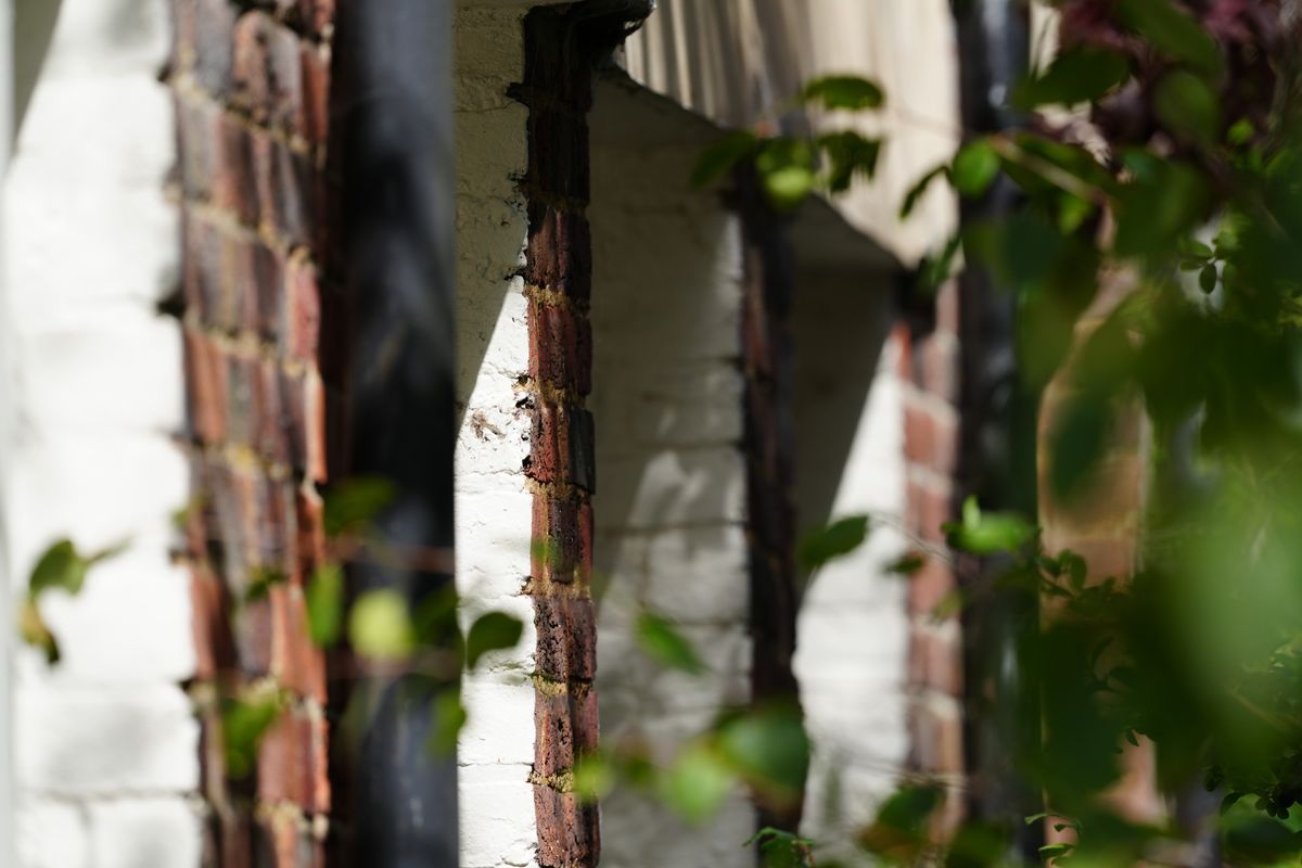 Sony FE 400mm f/4.5 GM OSS sample image