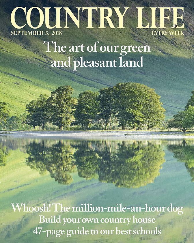 August 5 Cover Country Life