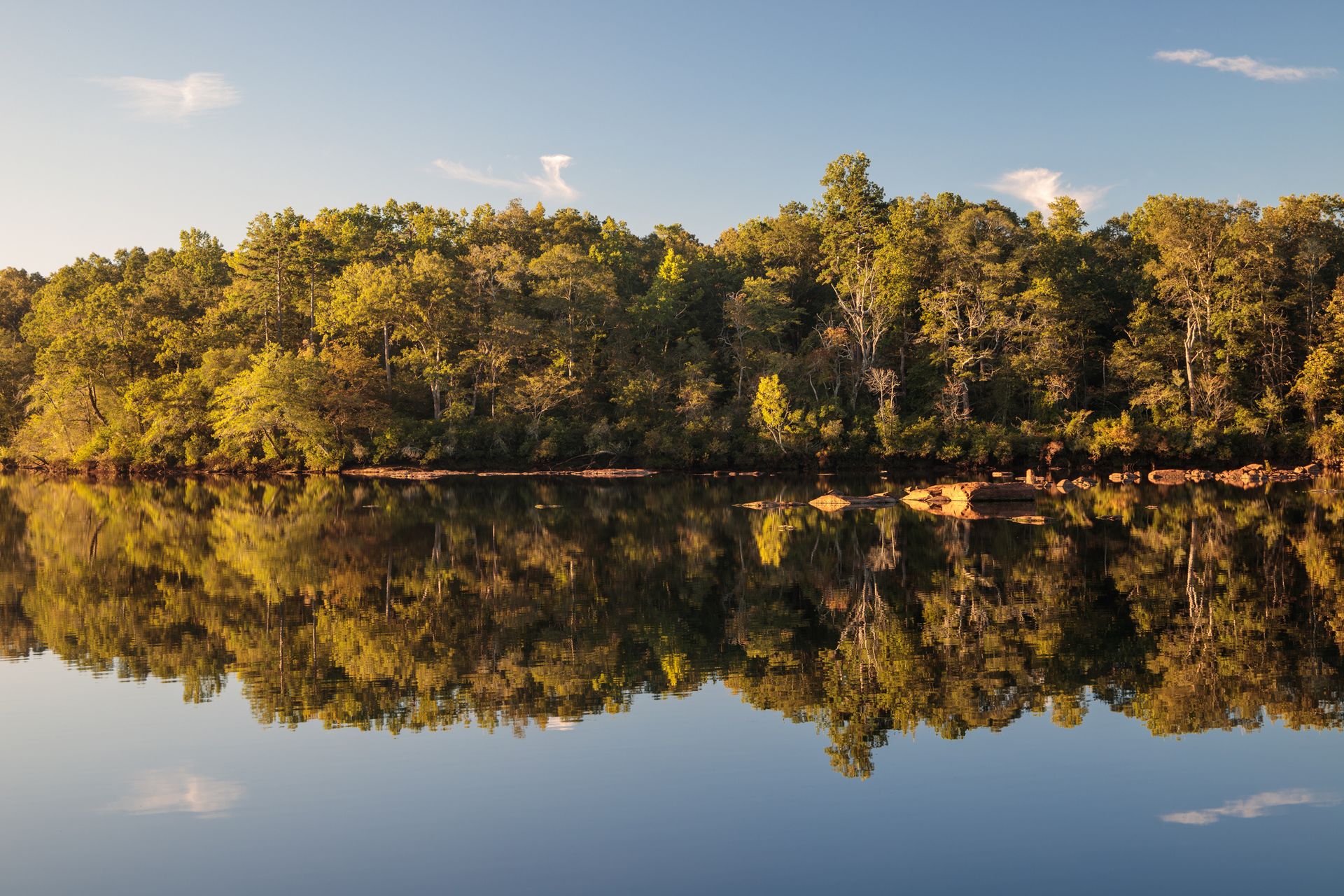 Scenic view of a lake by trees against the sky on the Savannah River, South Carolina