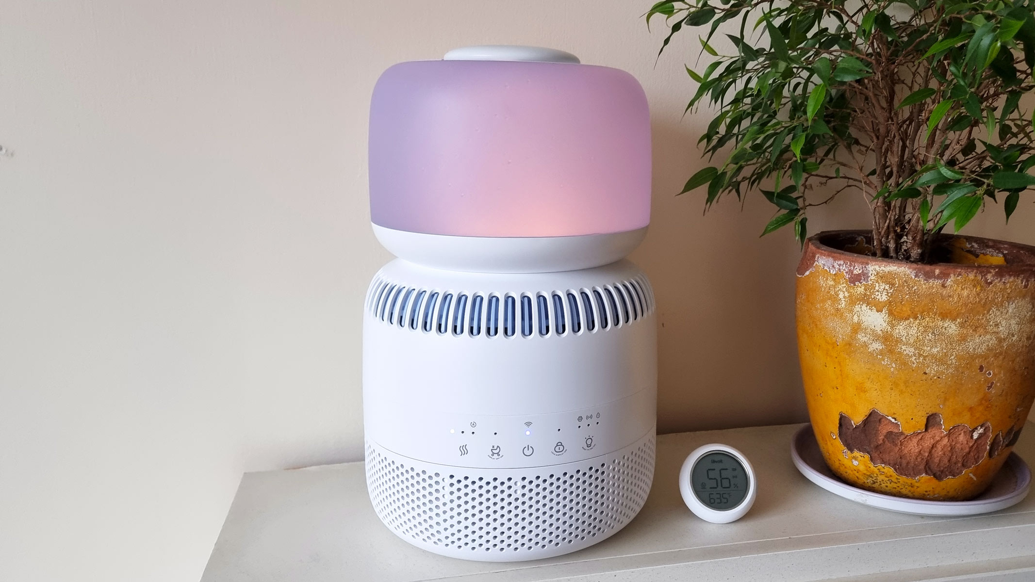 a picture of the Levoit Sprout Evaporative Humidifier standing next to a houseplant and a humidity meter