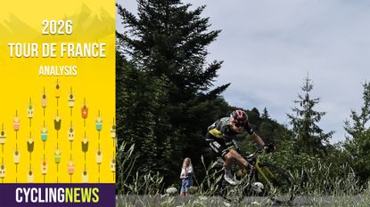 Jonas Vingegaard at the Tour de France