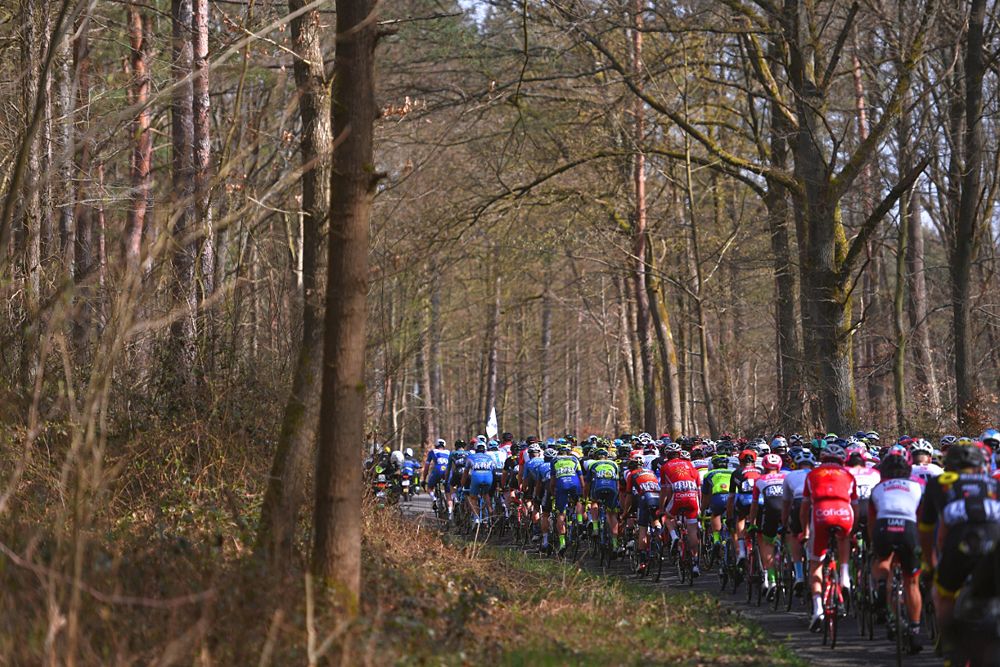 Into the woods at 2018 Paris-Roubaix