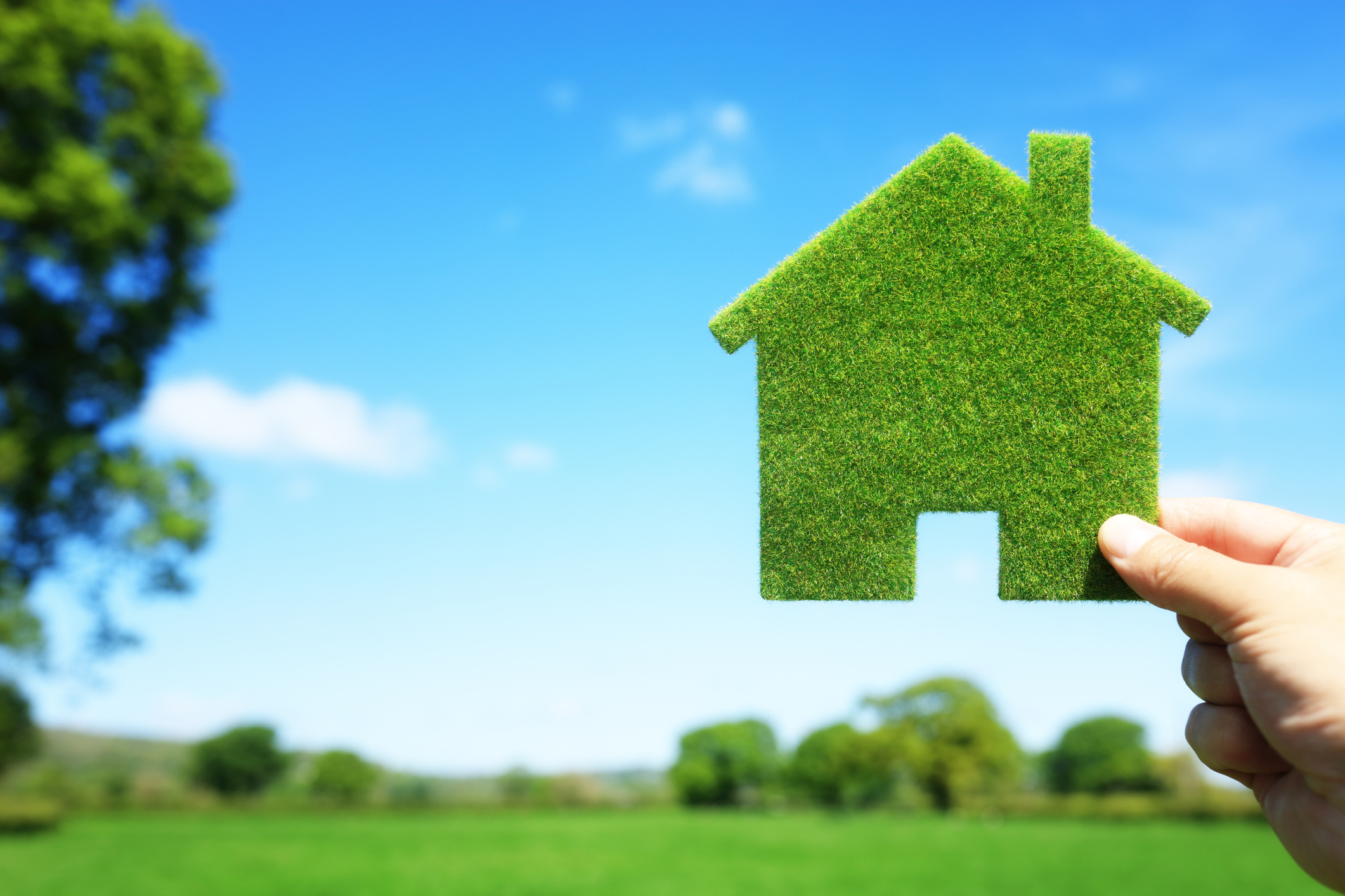 Green Mortgage Lenders