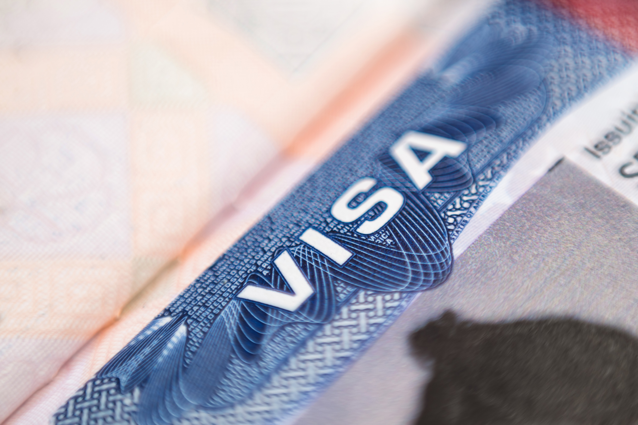 Close up of a US visa