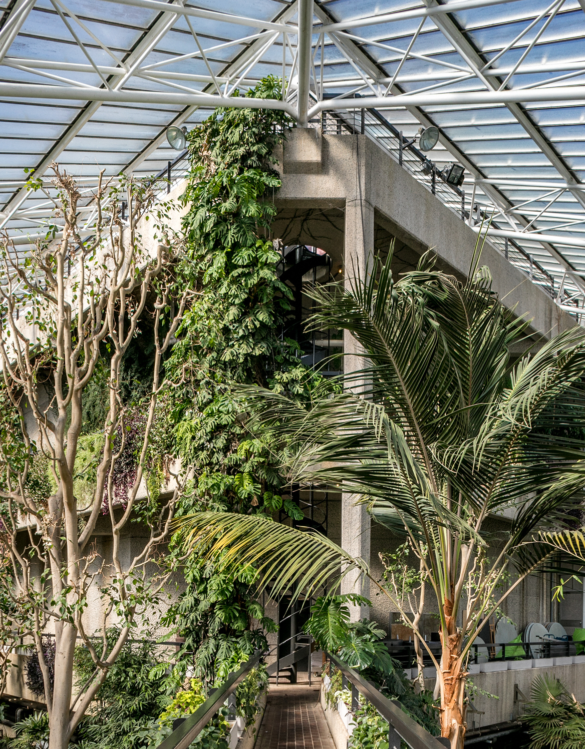 eco-brutalism The Barbican Conservatory