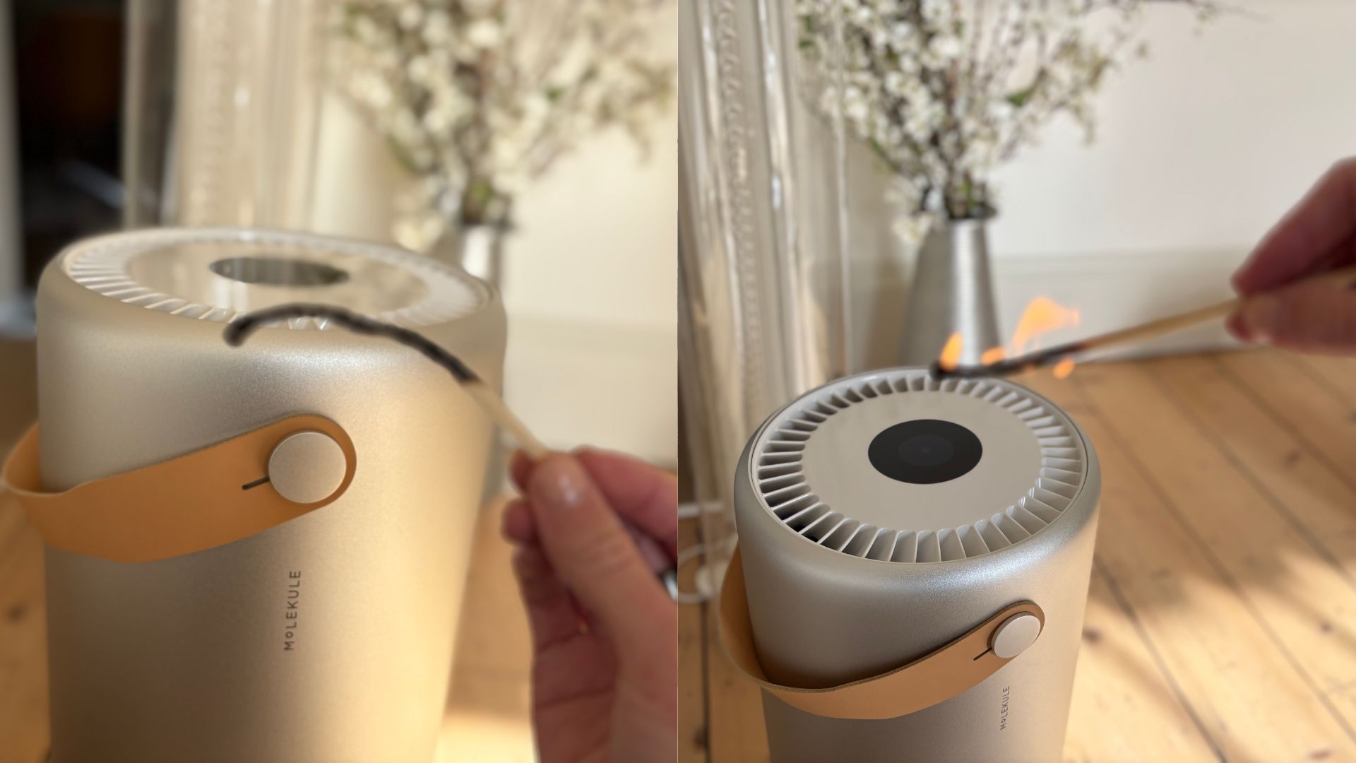 Testing the Molekule Air Pro Air Purifier