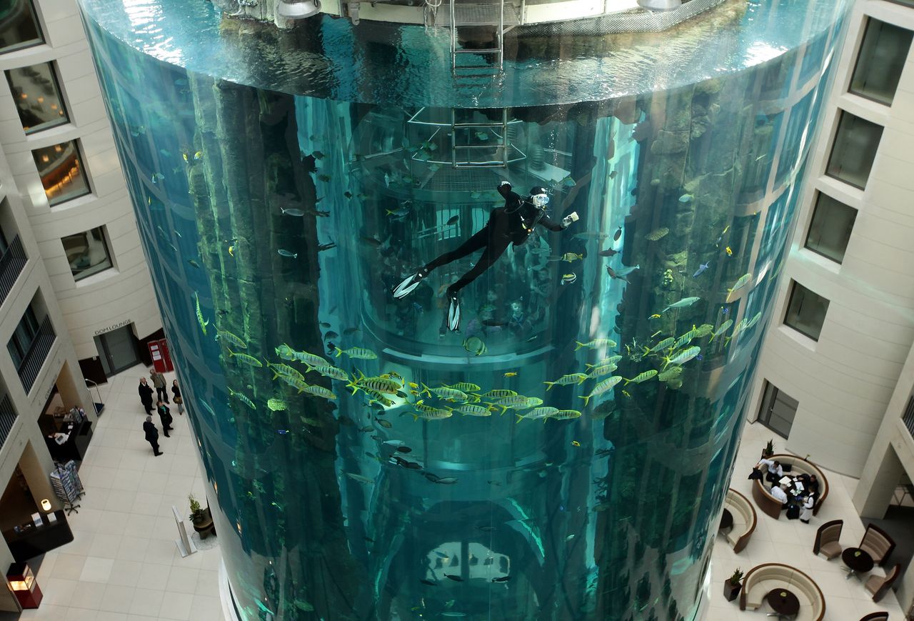 The AquaDom aquarium prior to bursting. 