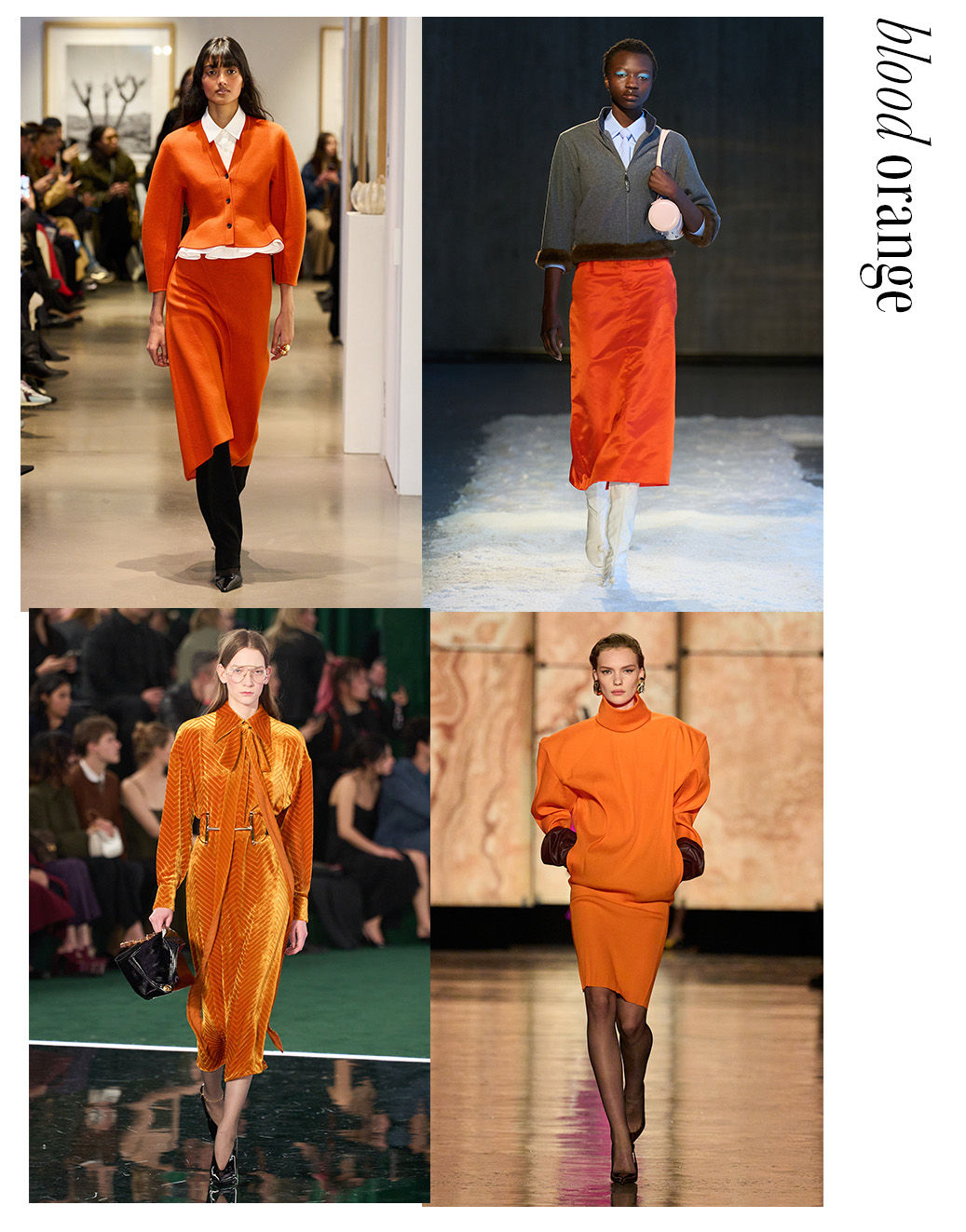 Photo collage of Fall 2025 color trends.