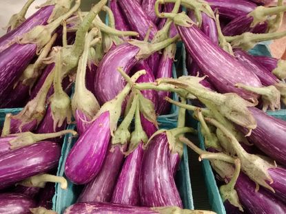 Containers Full Of Eggplants