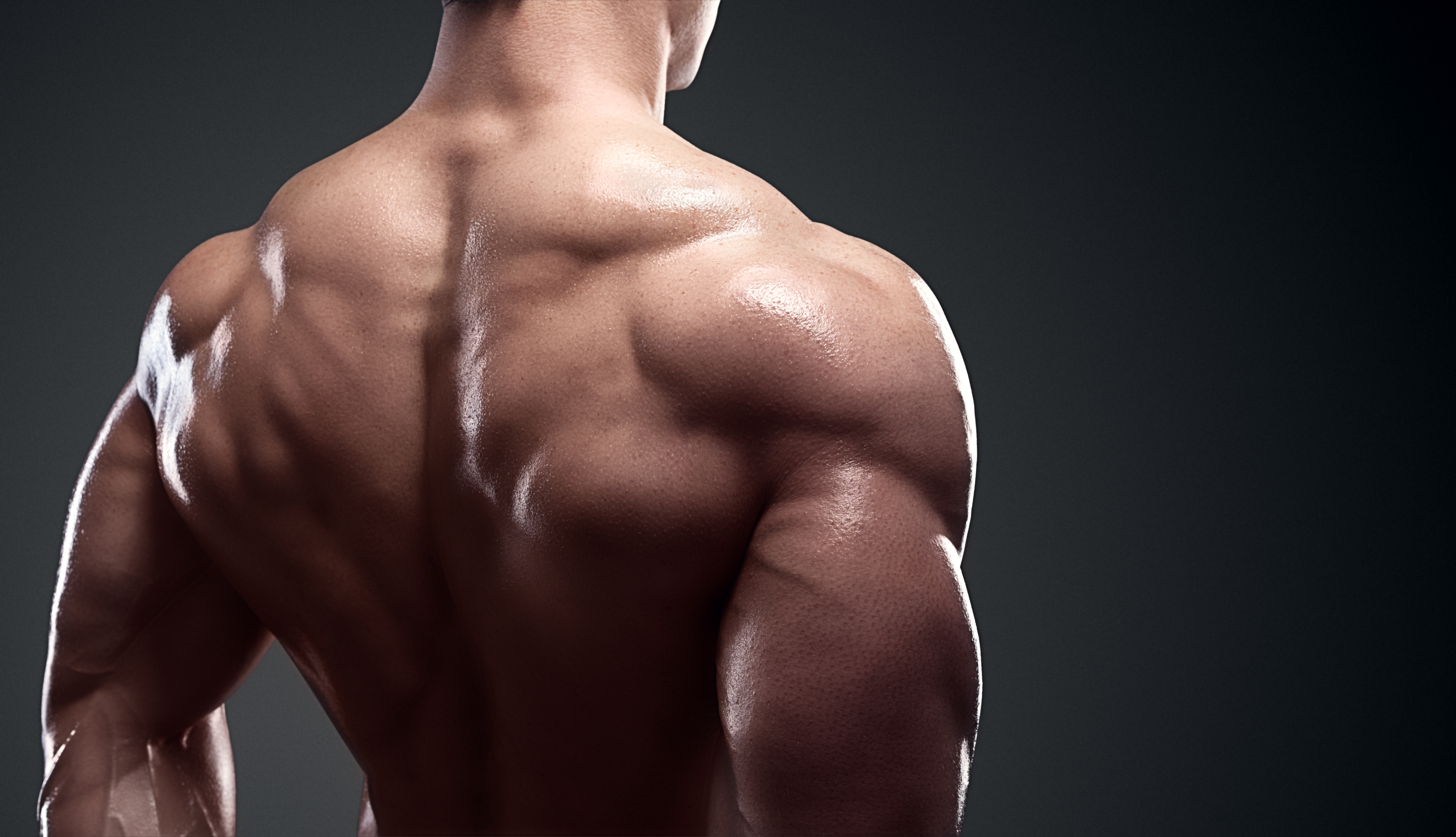 Shoulder muscles workout